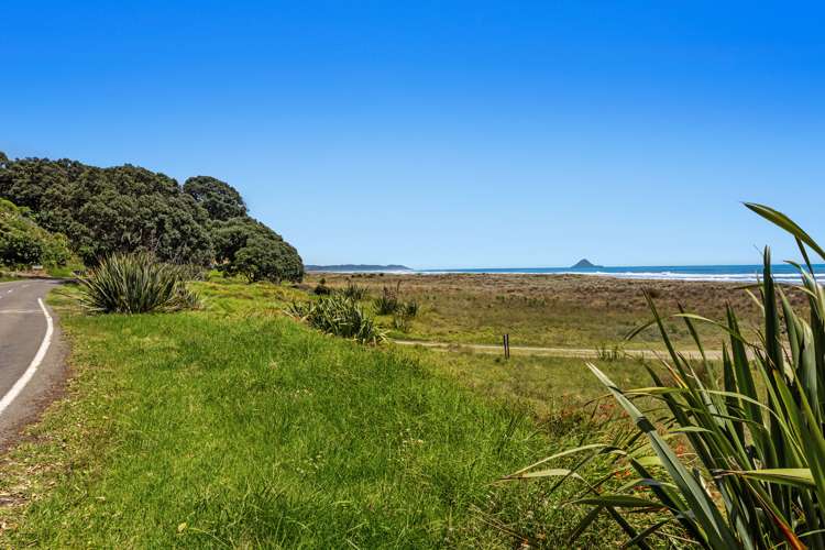 233 Ohiwa Beach Road Opotiki and Surrounds_8