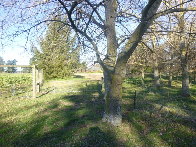 256 Pratt Road Geraldine_8