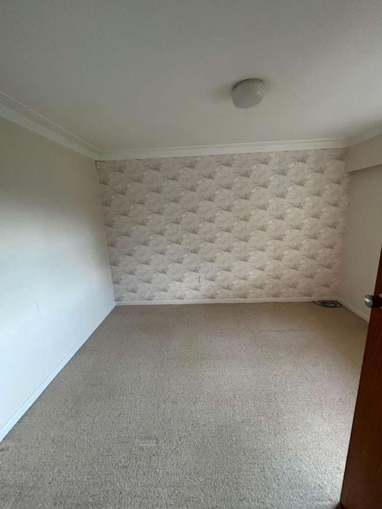 14 Williams Avenue Pakuranga_9