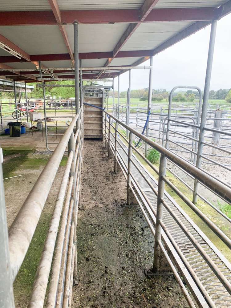 82977 State Highway 2 Pahiatua_7