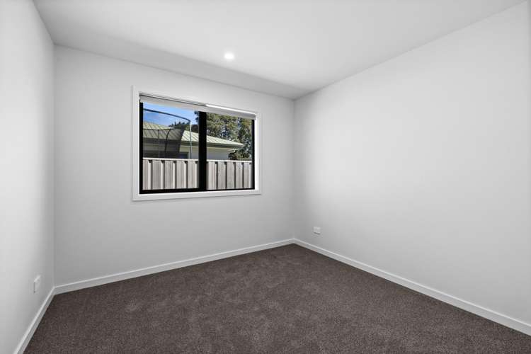 205a Guppy Road Taradale_13
