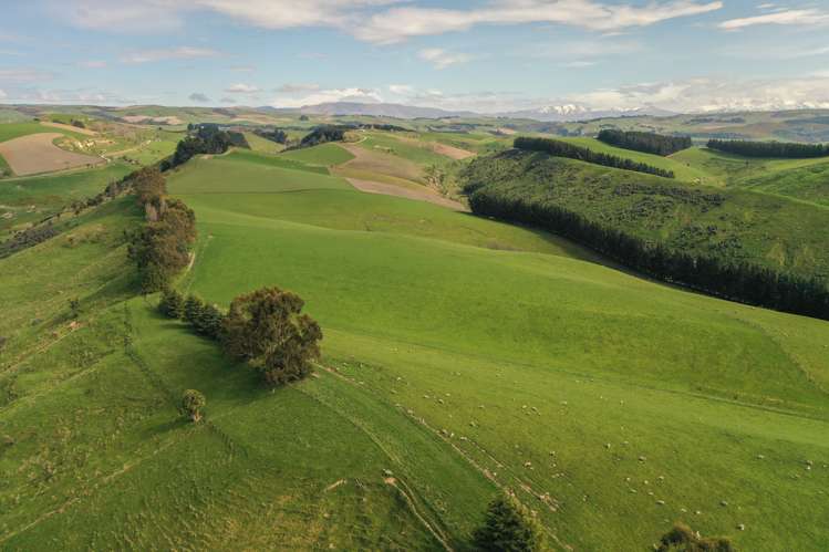 22 Hazelburn Road Pleasant Point_23