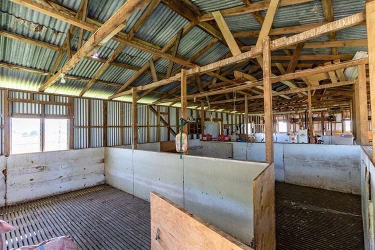 220 Tiffin Road Carterton_4