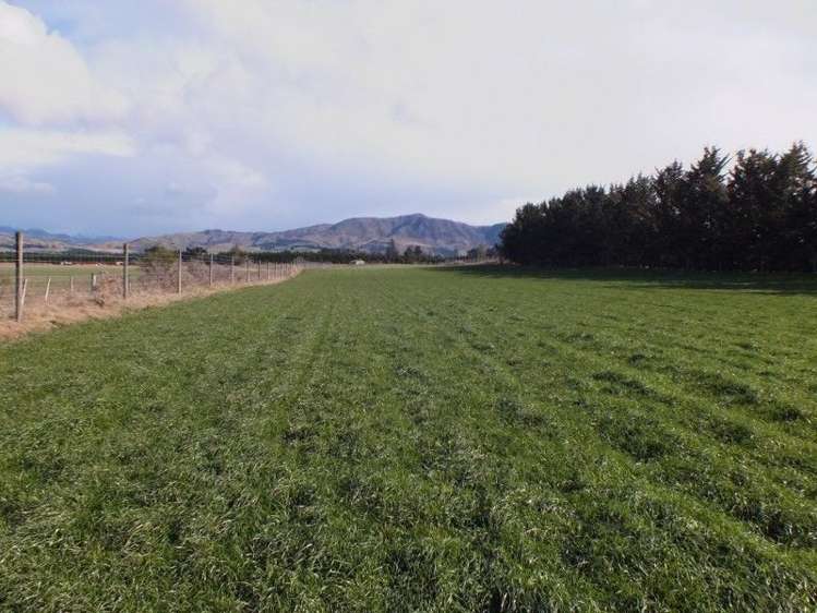 481 Allandale Road Hawarden_20