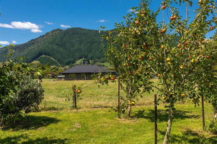 18 Robertson Mill Place Rai Valley_28