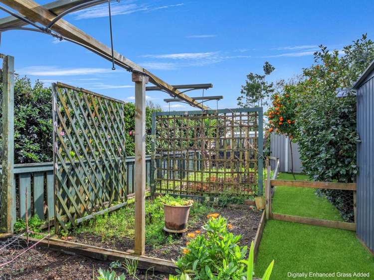 7 Katterns Street Katikati_24