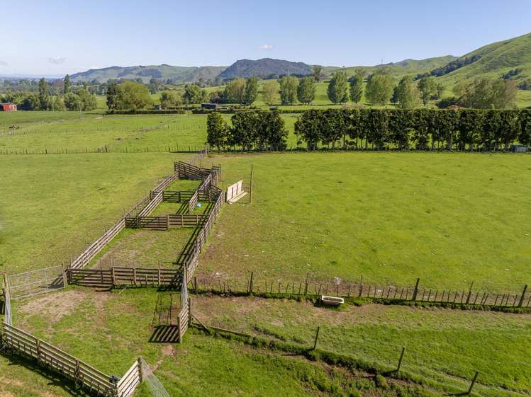 116A Hill Road Te Aroha_6