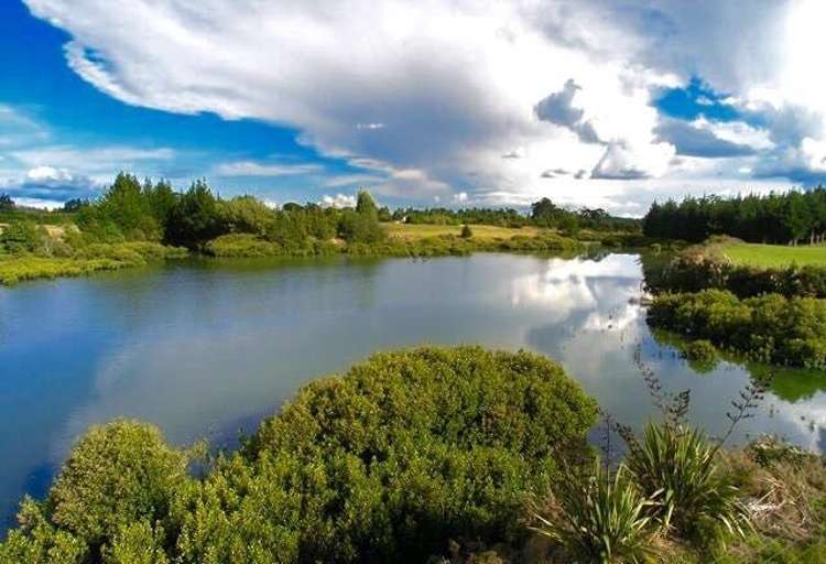 45b Arana Drive Karaka_9