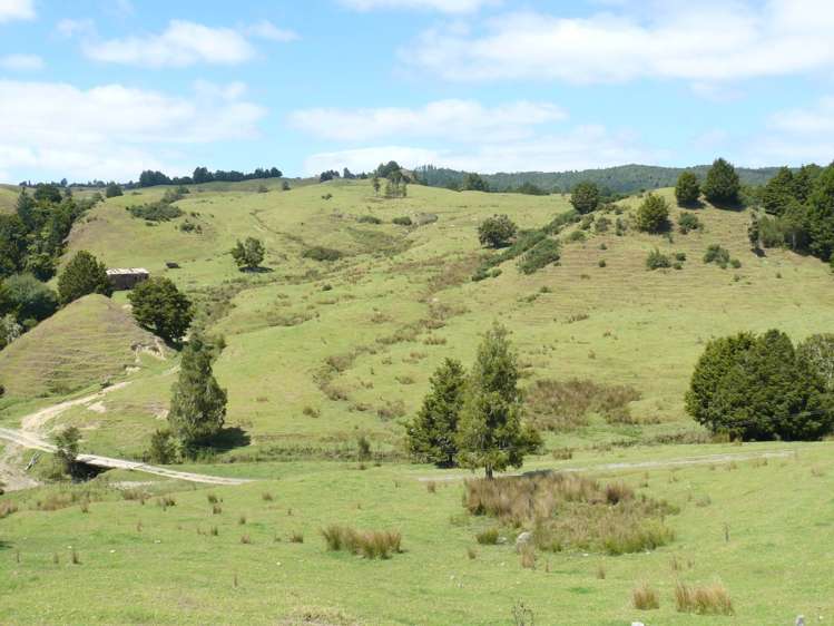 1327 Pupuke Mangapa Road Kaeo_6