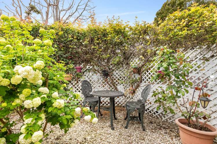 58 Rugby Street Levin_5