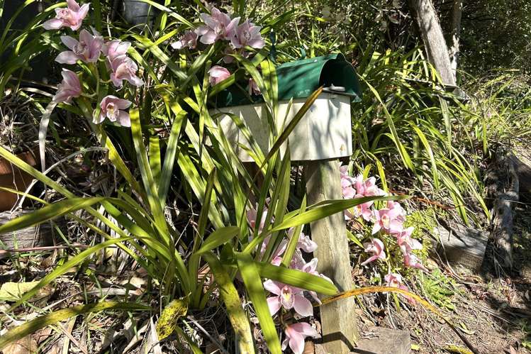42 Rototai Road Takaka_21