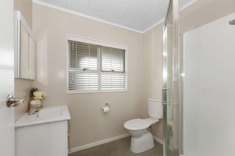 4 Wightman Place Morrinsville_8