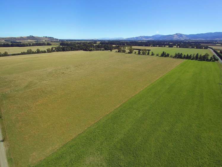 787 Birch Hill Road Okuku_16