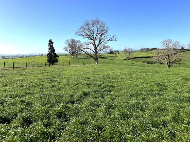 233B Kio Kio Station Road Otorohanga_16