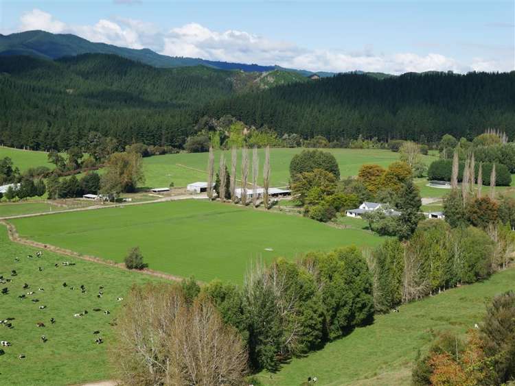 414 Sherry River Road Tapawera_0