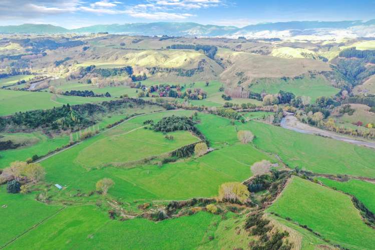 2732 Kimbolton Road Kimbolton_5