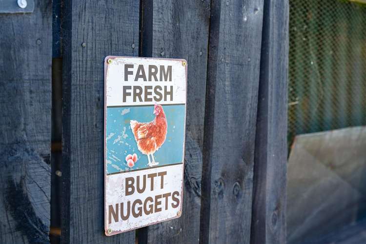 103 Partridge Road Wellsford_36