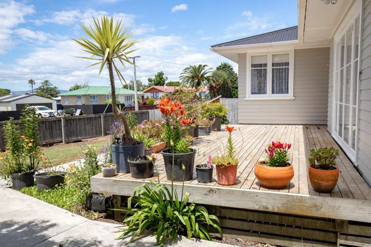 2 Rata Street Kerepehi_12