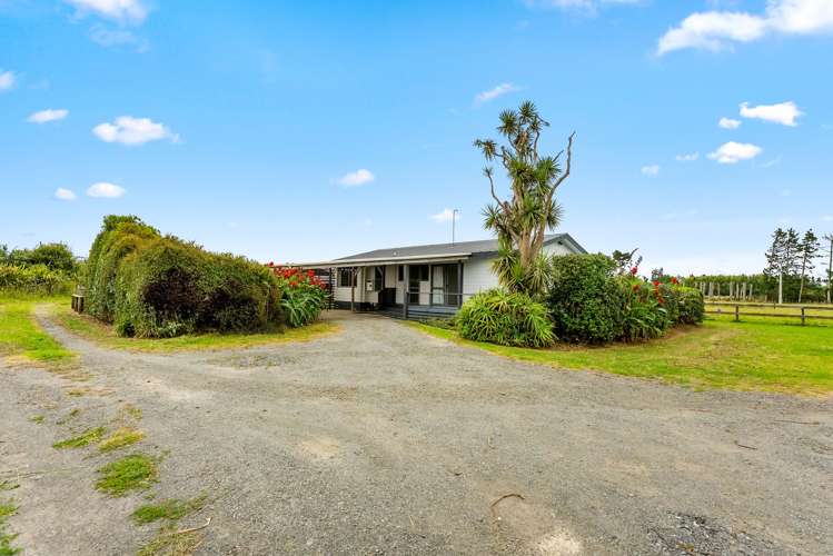 331 South Head Road, South Head Helensville_31