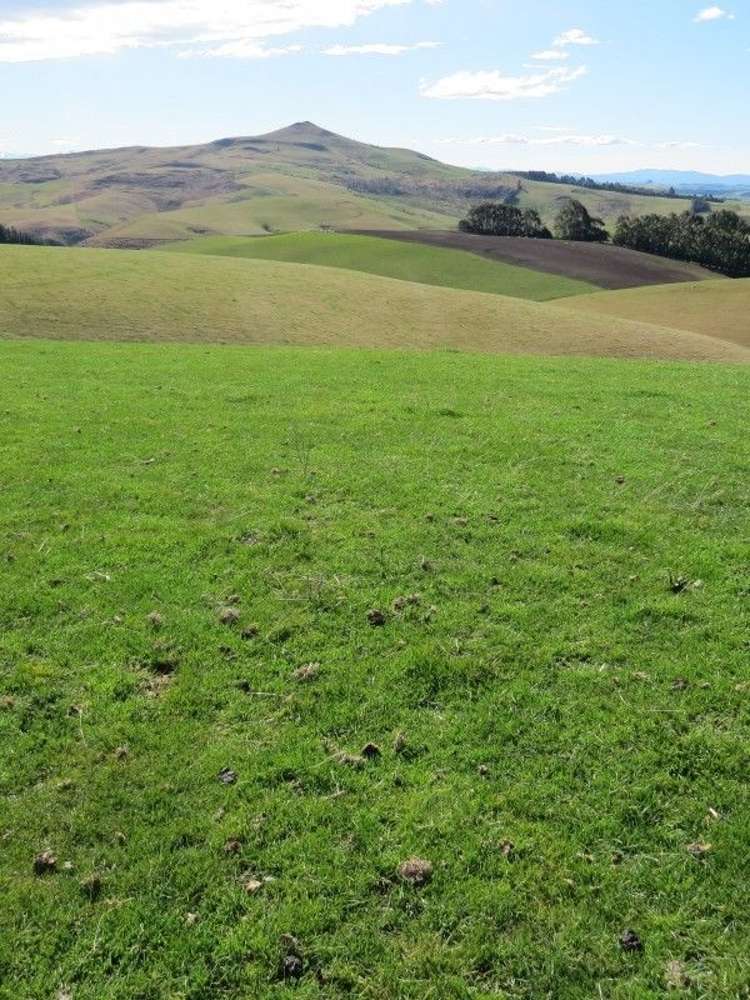 649 Kauru Hill Road Five Forks and Surrounds_9