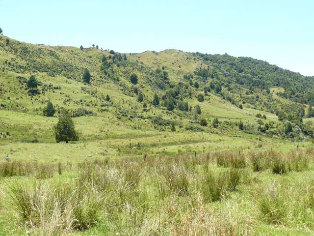 213 Matawherohia Road Kaeo_1