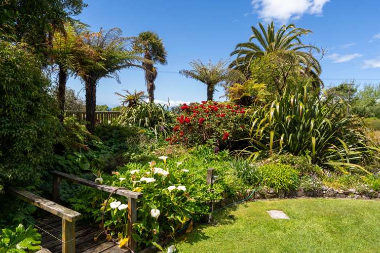 18 Cliff Road Tasman_26