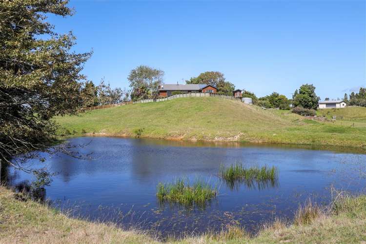 171 Herbert Road Rotongaro_21