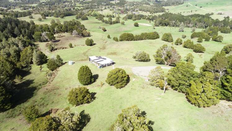 562 Waimate North Road Kerikeri_1