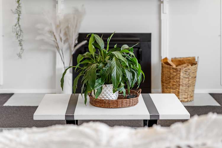 49 Grigg Drive Witherlea_26