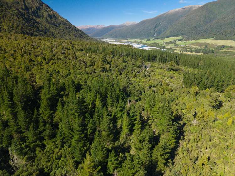 Bell Hill Road Inchbonnie_19