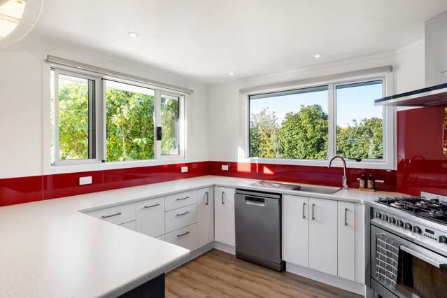 620 Mcclure Street Pirongia_4