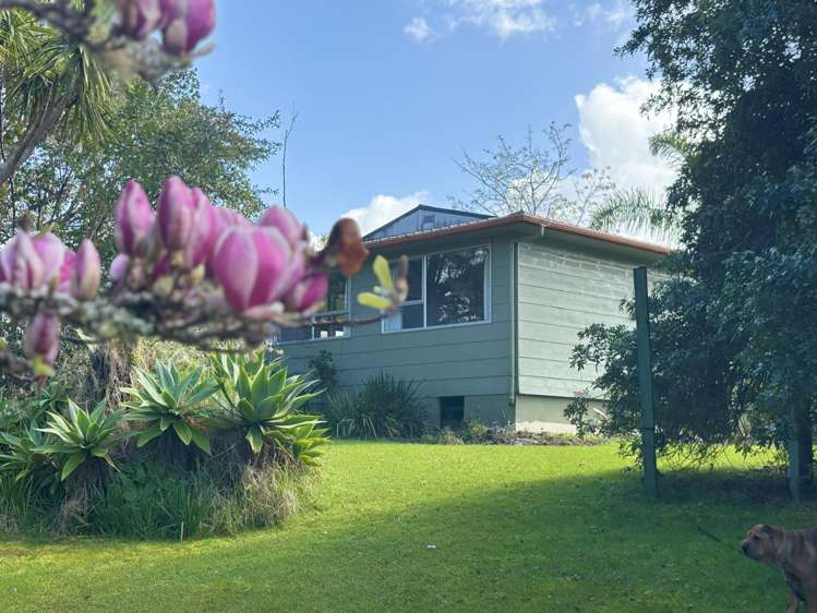 185 Kohukohu Road Kohukohu_13