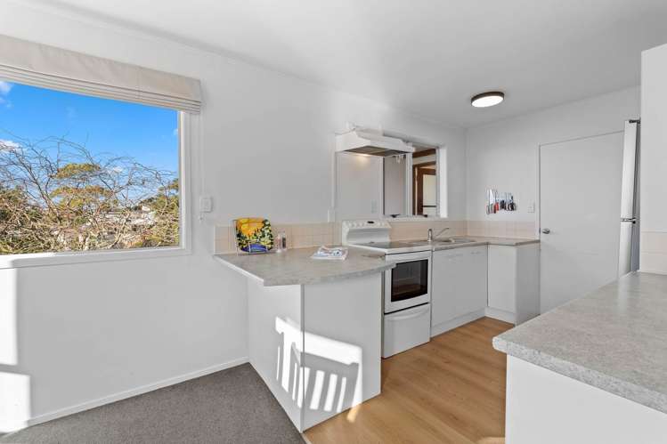91 Langana Avenue Browns Bay_7