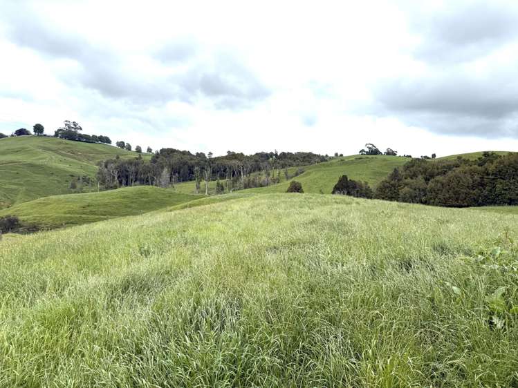 Taotaoroa Road Karapiro_47