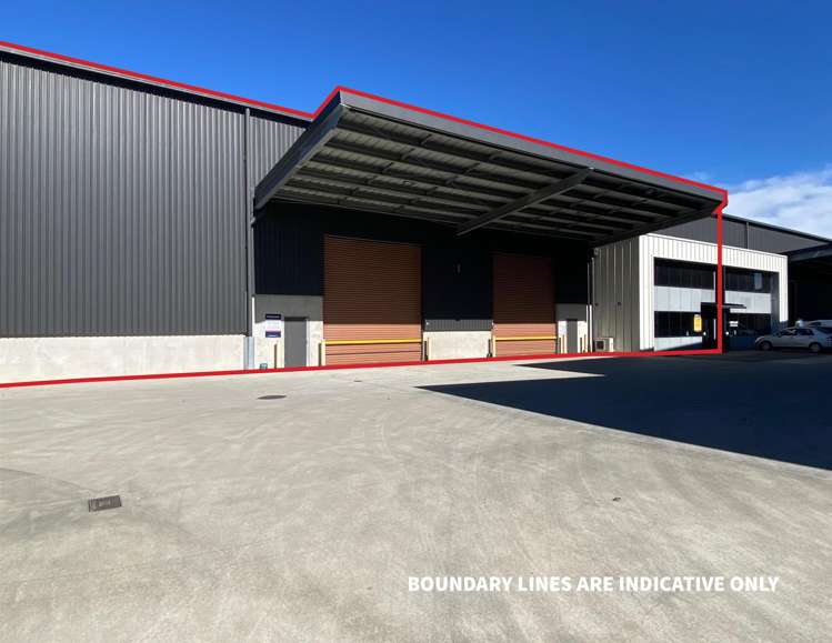 11/8 Islington Avenue Islington_2