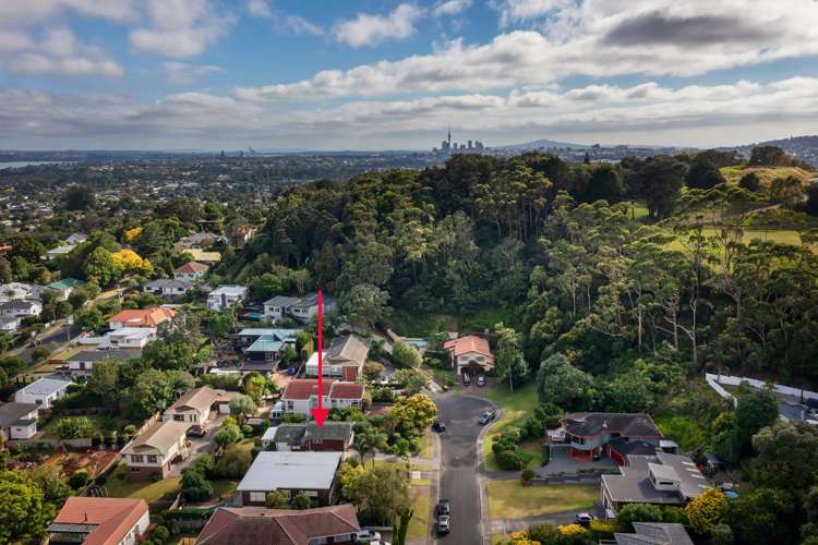 36 La Veta Avenue Mount Albert_28