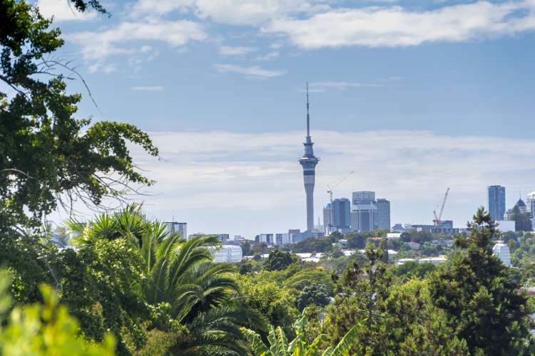 23 Columbia Road Sandringham_28