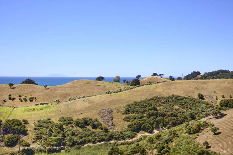 7 Tamihana Road Ostend_12