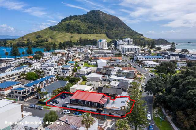 70 Maunganui Road Mt Maunganui_1