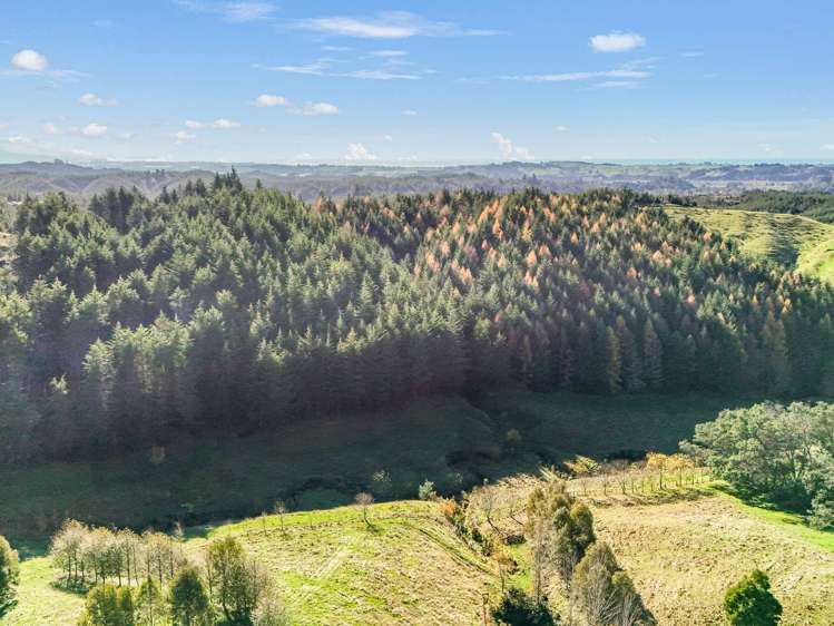 370 Rosedale Road Upper Moutere_25