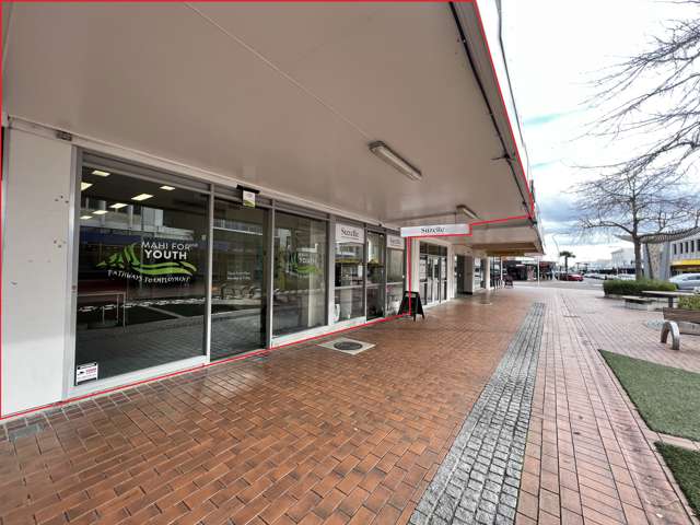 108 Heretaunga Street West Hastings Central_2