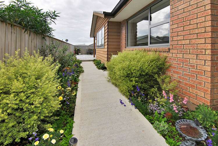 11a Clifford Road Johnsonville_8