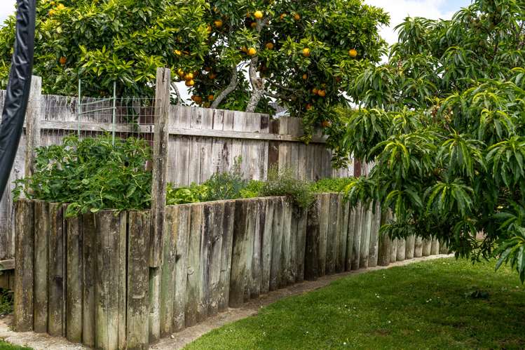 32 Livingstone Avenue Nawton_10