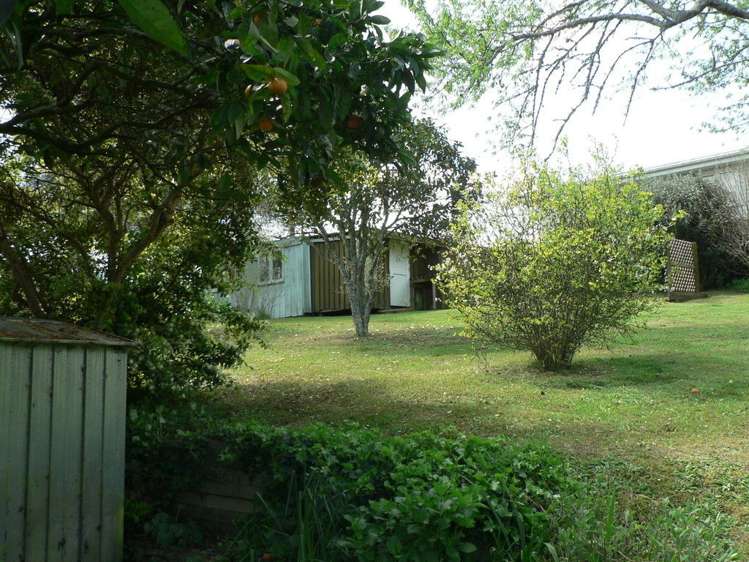 29 Ballance Street Kihikihi_9