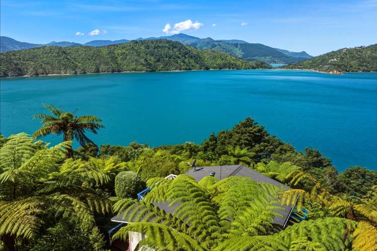 2667 Kenepuru Road Marlborough Sounds_26