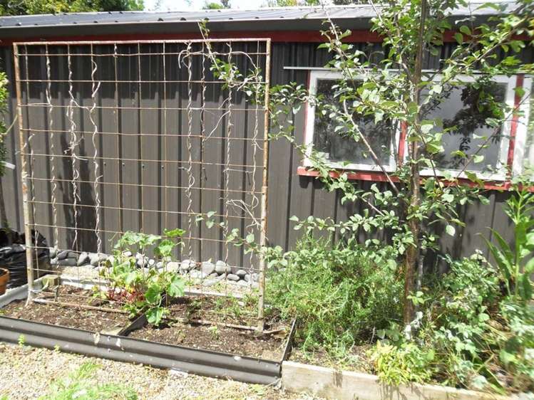 4 Fourth Street Waihou_11