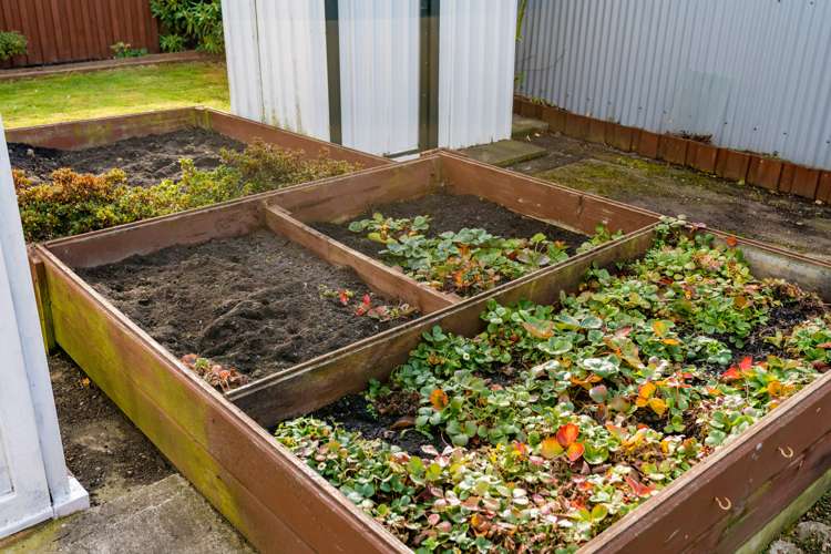 18 Burns Street Mosgiel_23