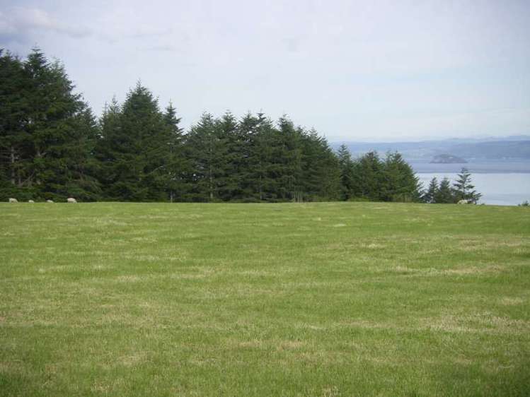 44 Tussock Ridge Kuratau_6