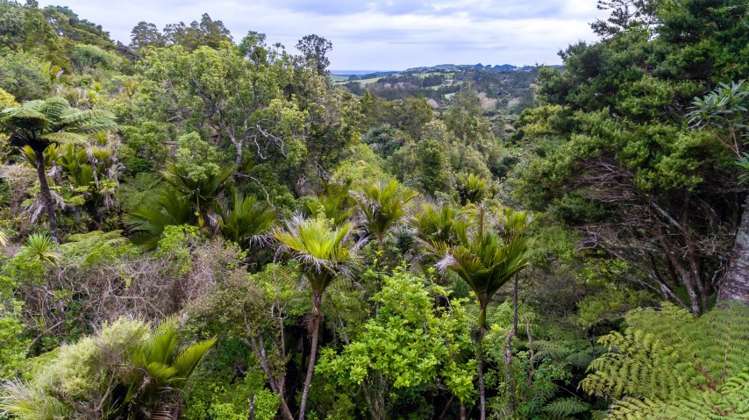 98 Hinau Road Waimauku_4