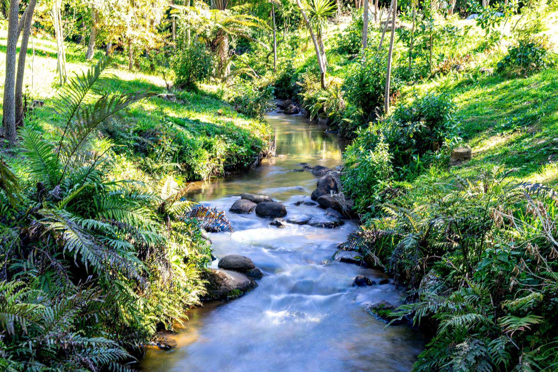 73H Riddell Road Kerikeri_0